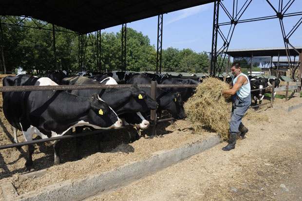 ПОНУДА ЗА ПКБ: Прешли праг за 500.000 евра